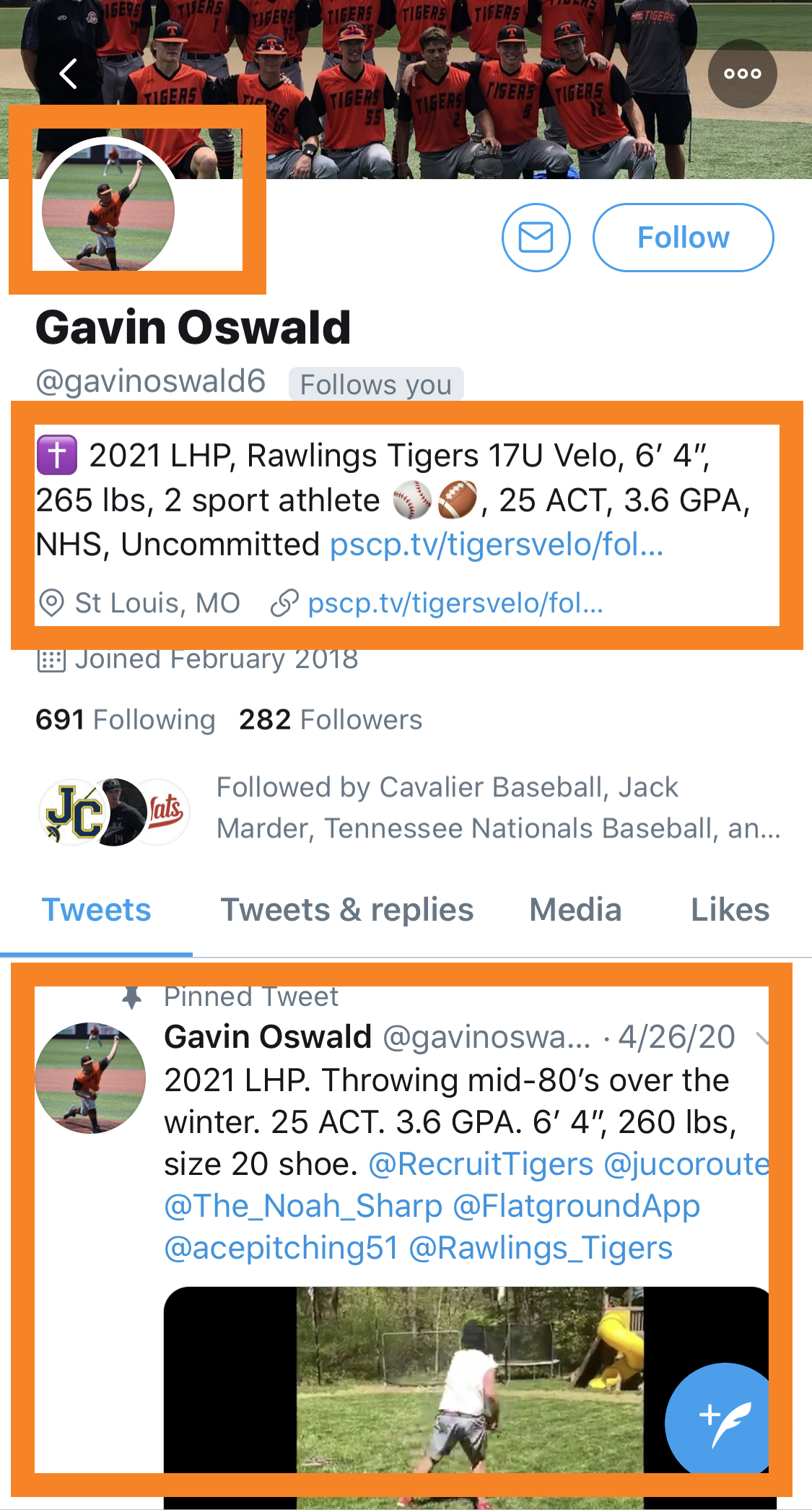 Twitter baseball bio example 