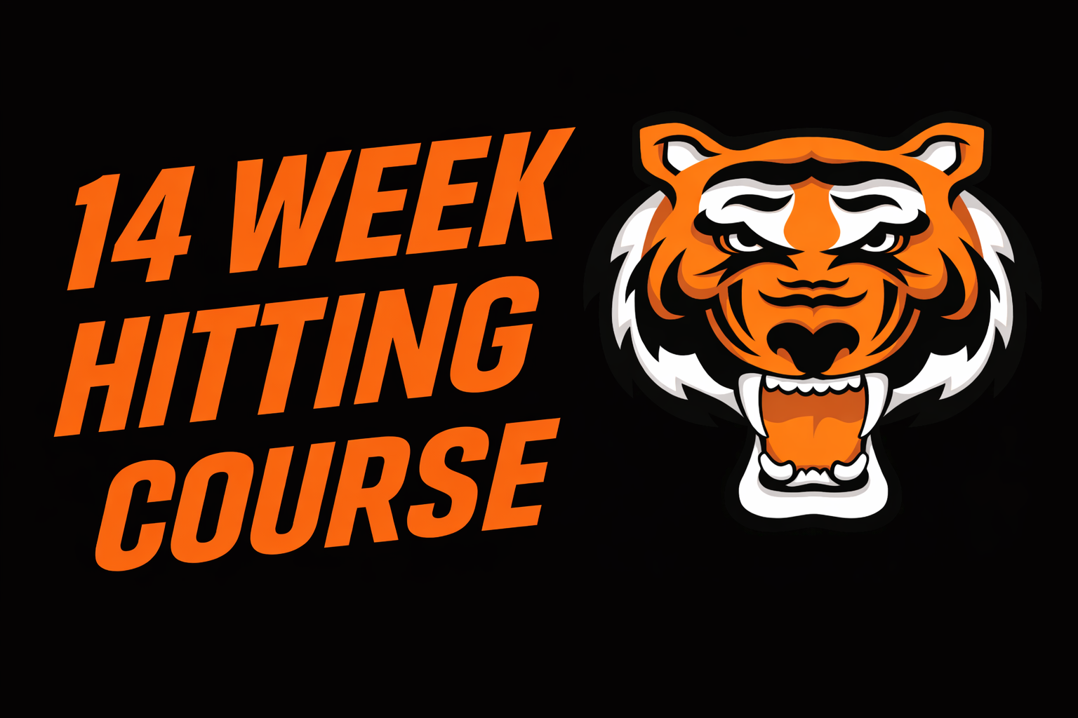 14 Week Hitting Course 