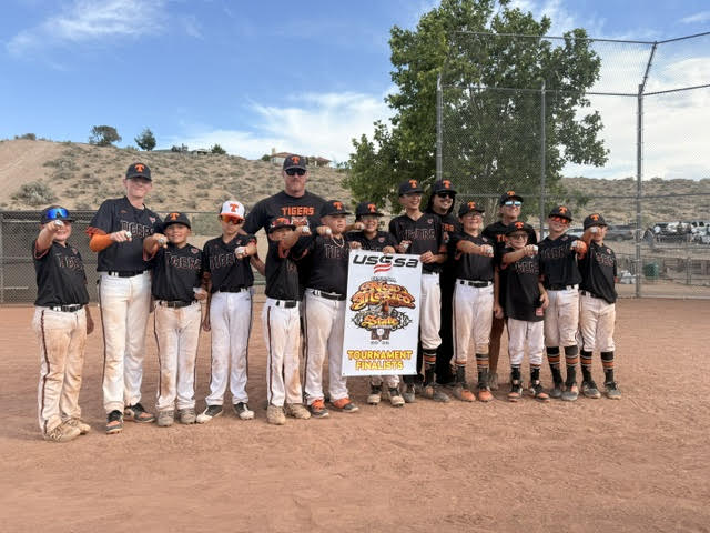 Rawlings Tigers | Elite Baseball & Softball Platform