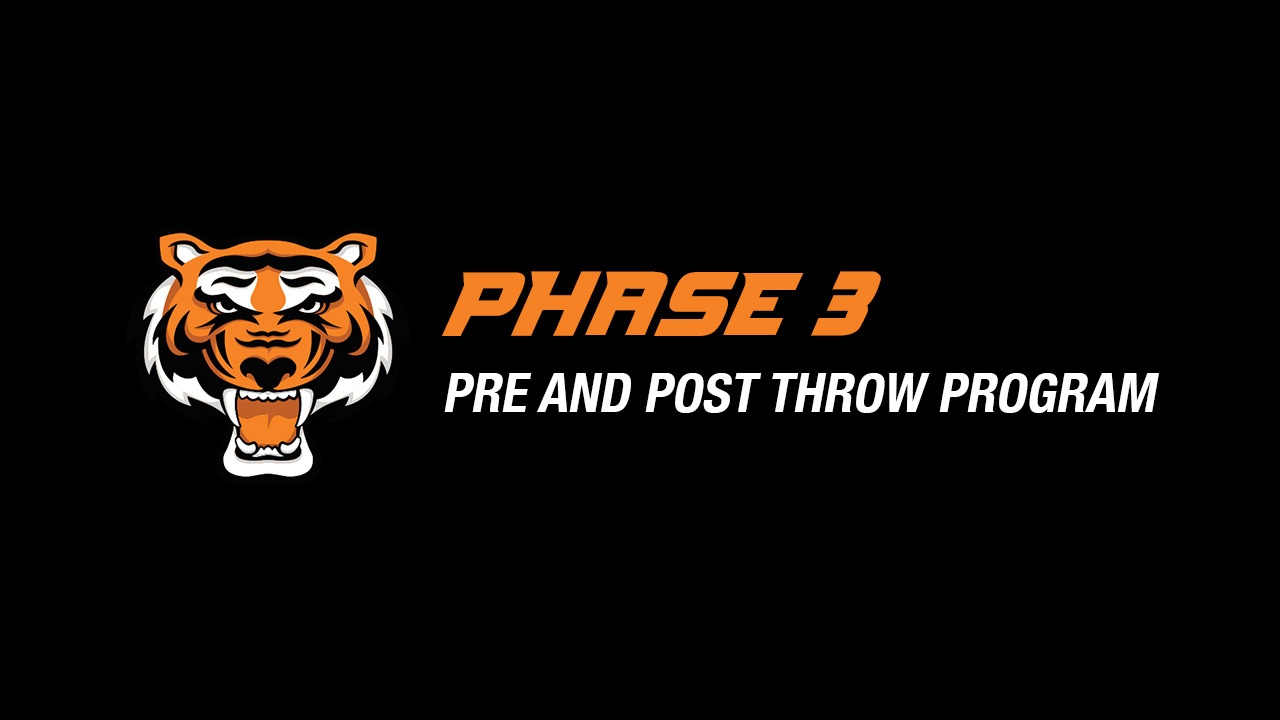 Phase 3: Daily Throwing 